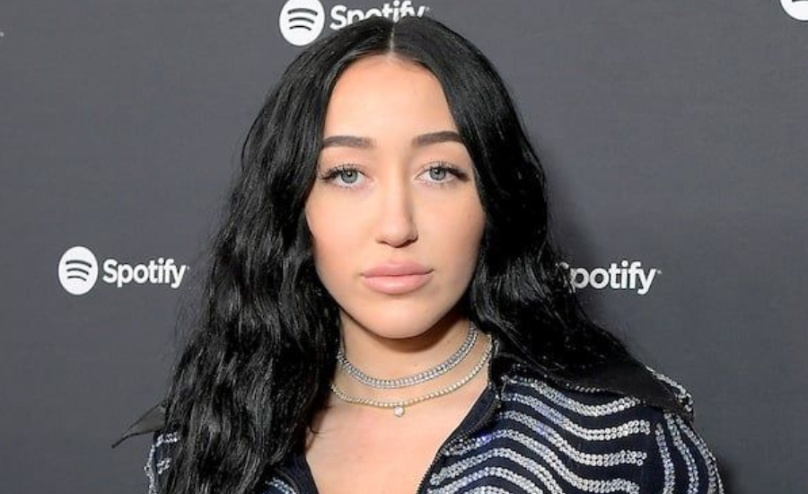 Noah Cyrus net worth